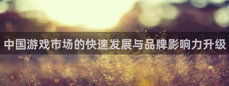 bbin视讯官网代理注册不了：中国游戏市场的快速发展与品牌影响力升级