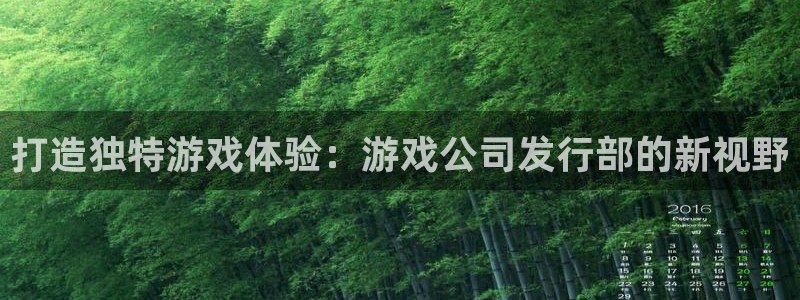 bbin视讯官网挂机项目怎么样：打造独特游戏体验：游戏公司发行部的新视野
