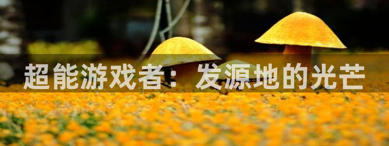 苏州bbin视讯网络科技有限公司：超能游戏者：发源地的光芒