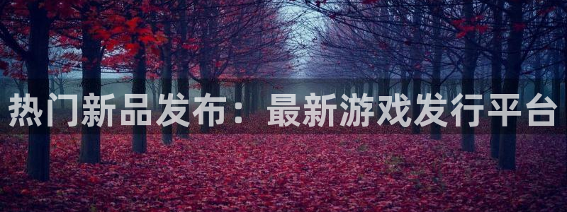 bbin视讯官网注册方法视频教程：热门新品发布：最新游戏发行平台
