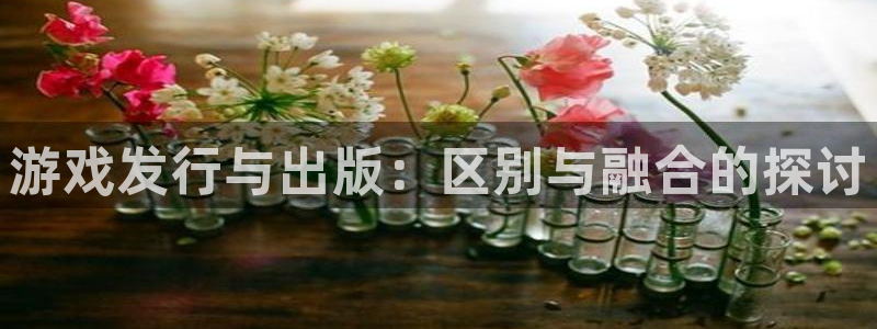 bbin视讯子猫图片