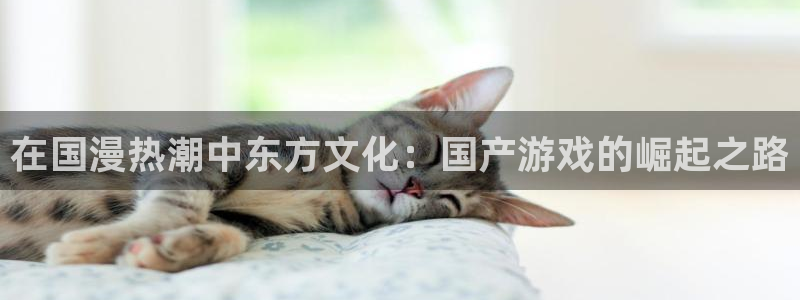 bbin视讯电子商务有限公司电话：在国漫热潮中东方文化：国产游戏的崛起之路