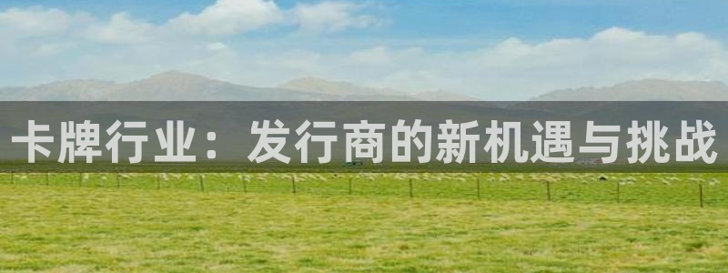 广州bbin视讯网络科技有限公司怎么样：卡牌行业：发行商的新机遇与挑战