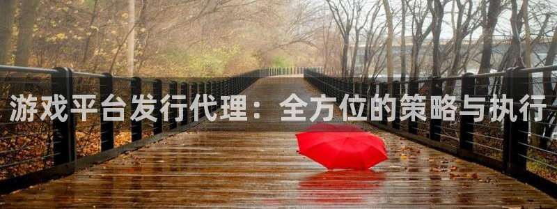 bbin视讯子文化是什么：游戏平台发行代理：全方位的策略与执行