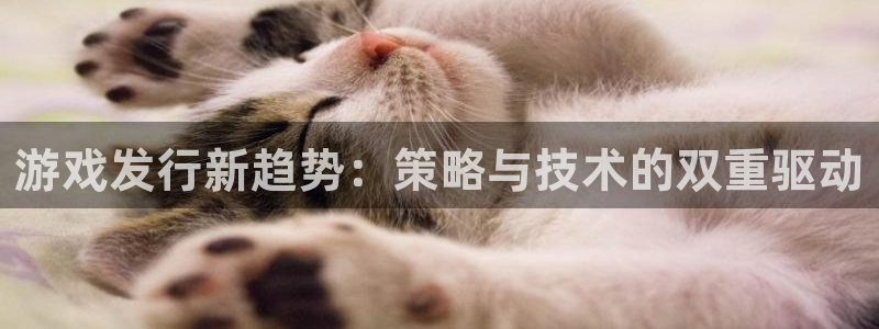 bbin视讯官网客服电话是多少