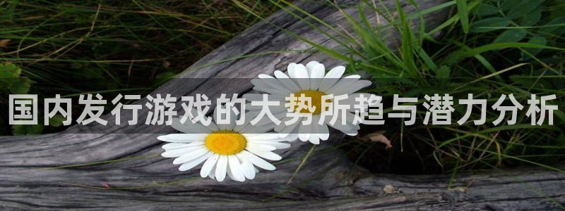 bbin视讯官网代理开号：国内发行游戏的大势所趋与潜力分析