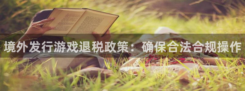 bbin视讯官网注册平台是什么软件：境外发行游戏退税政策：确保合法合规操作