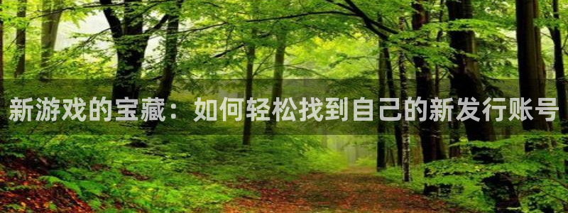 bbin视讯科技：新游戏的宝藏：如何轻松找到自己的新发行账号