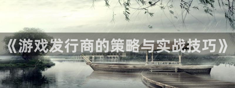bbin视讯官网注册方法是什么样的：《游戏发行商的策略与实战技巧》
