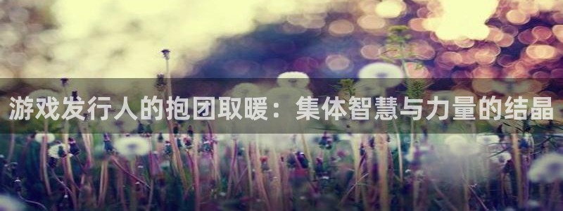bbin视讯主管：游戏发行人的抱团取暖：集体智慧与力量的结晶