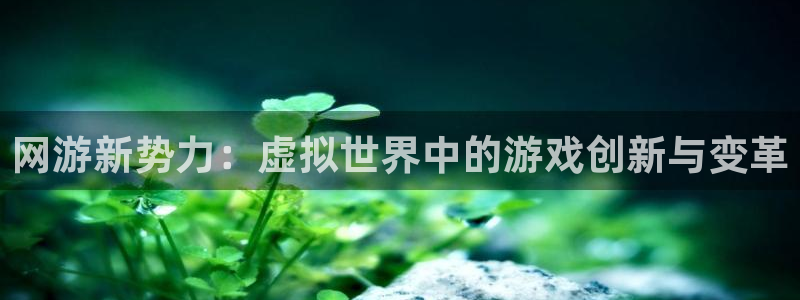 bbin视讯子文化创意做什么的