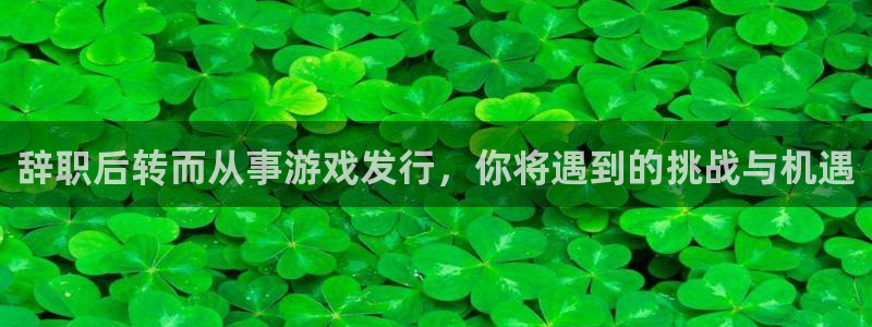 bbin视讯运动装有哪些品牌：辞职后转而从事游戏发行，你将遇到的挑战与机遇