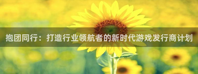 深圳bbin视讯电商：抱团同行：打造行业领航者的新时代游戏发行商计划