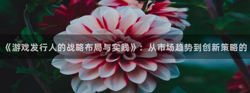 bbin视讯品牌策划：《游戏发行人的战略布局与实践》：从市场趋势到创新策略的