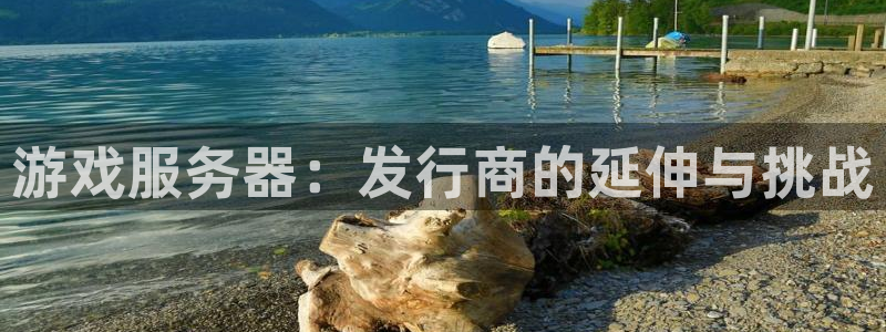 bbin视讯官网注册平台怎么样啊：游戏服务器：发行商的延伸与挑战