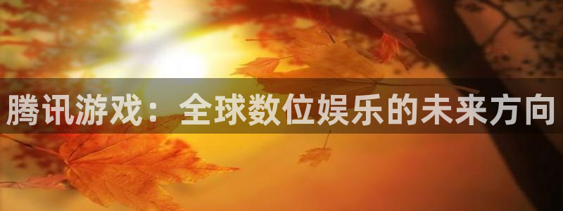 佛山bbin视讯电子商务